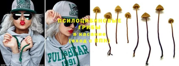 дживик Армянск
