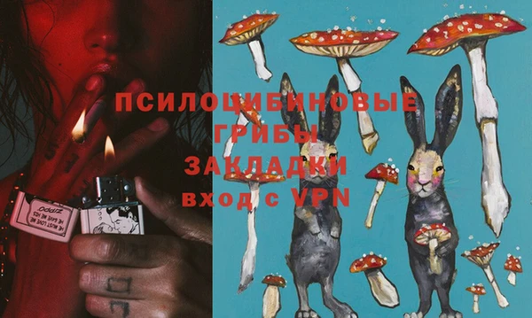 молекула духа Аркадак