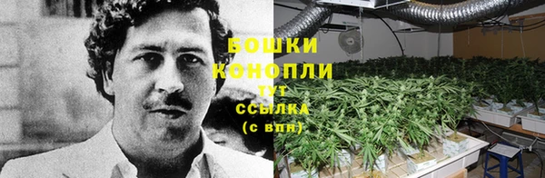 молекула духа Аркадак
