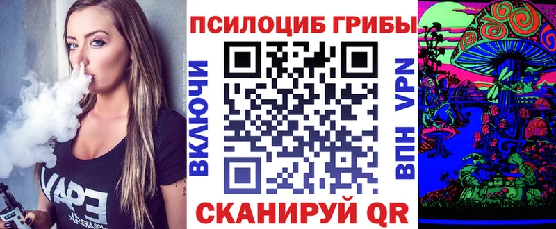 Галлюциногенные грибы Cubensis  купить закладку  Нижнеудинск 